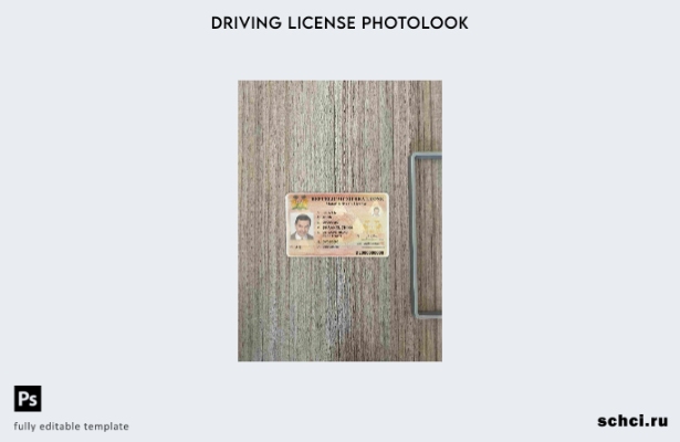 цифровая загрузка шаблона Sierra Leone DL Photolook FRONT